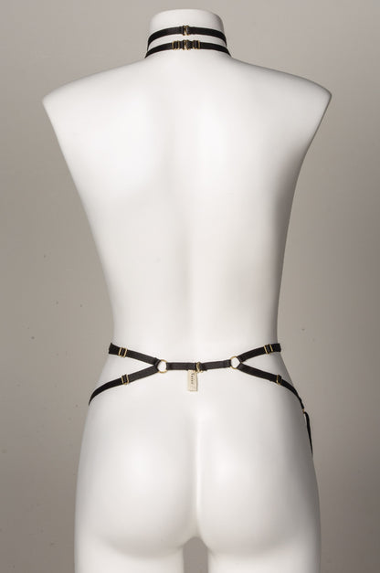 Harness Valyrio