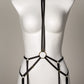 Harness Valyrio