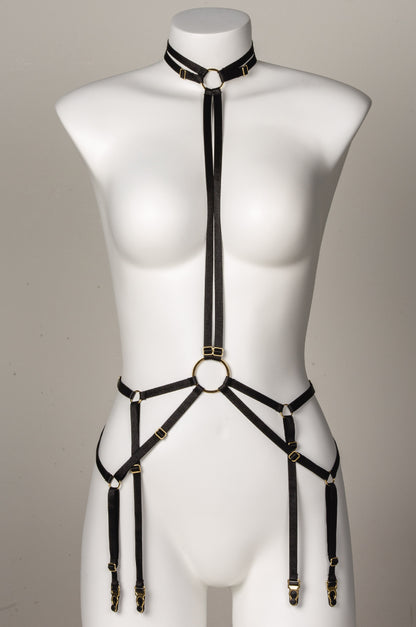 Harness Valyrio